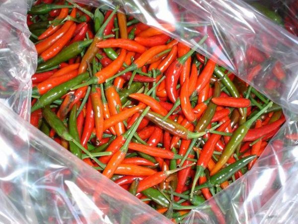 Fresh Chili