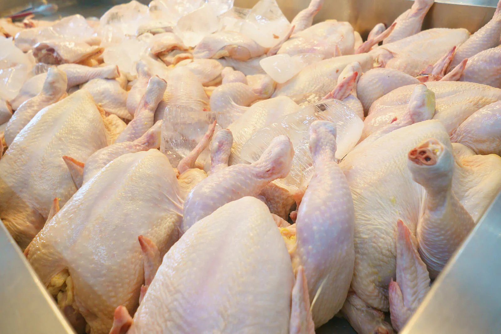 Buy Frozen Chicken Online