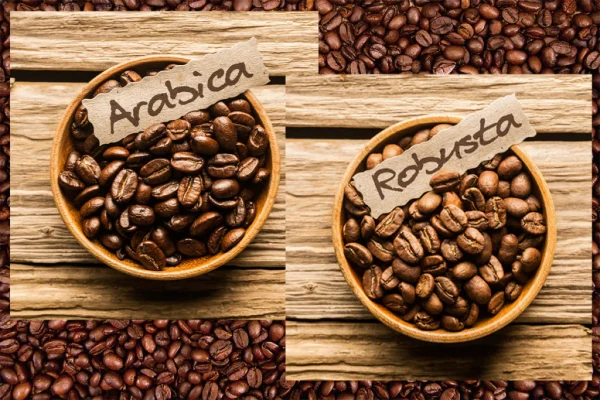 Coffee Beans (Arabica & Robusta)